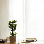 Modern 2br In Old Town, Near Byzantine Walls 塞萨洛尼基